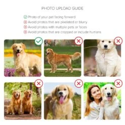 Personalised Dog Face Photo Album 5 Personalised Dog Face Photo Album -Cherished Gifts Shop a photo upload guide 49