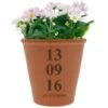 Personalised Anniversary Terracotta Pot