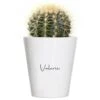 Personalised Flower & Plant Pot - Any Name