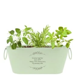 Personalised Planter - Any Message 6 Personalised Planter - Any Message -Cherished Gifts Shop personalised planter any message green